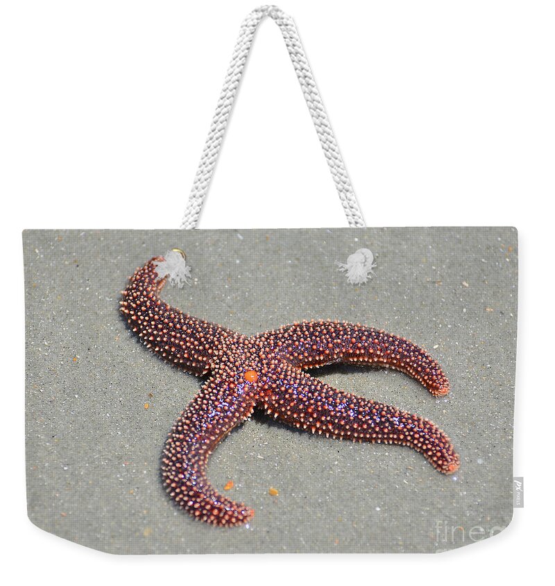 Starfish Weekender Tote Bag featuring the photograph Four Legged Starfish by Kathy Baccari