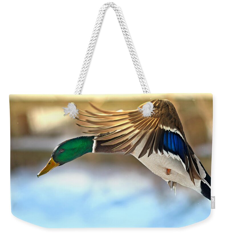 Mallard Weekender Tote Bag featuring the photograph Fraction of Time by Rob Blair