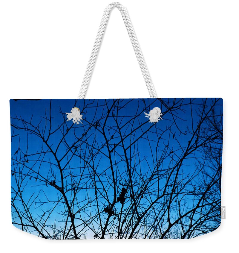 Tree Weekender Tote Bag featuring the photograph Fractured Sunset by Gary Mosman