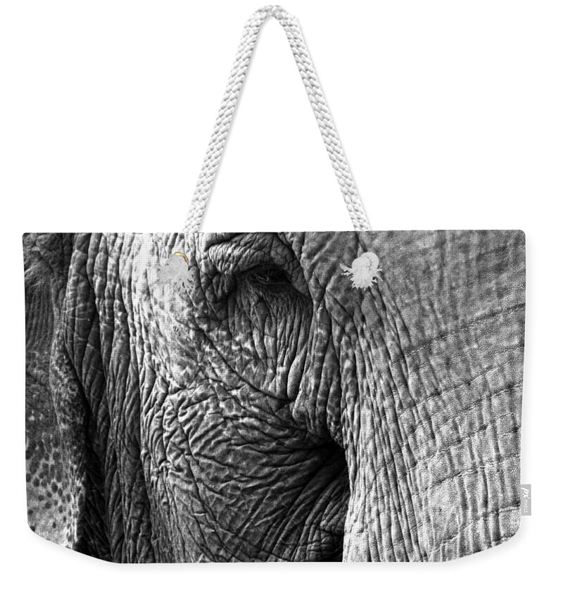 Elephant Weekender Tote Bag featuring the photograph Fragility To Forget by J C