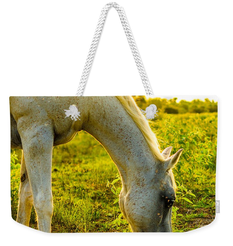 Horse Weekender Tote Bag featuring the photograph Freckles at Sunset by David Morefield