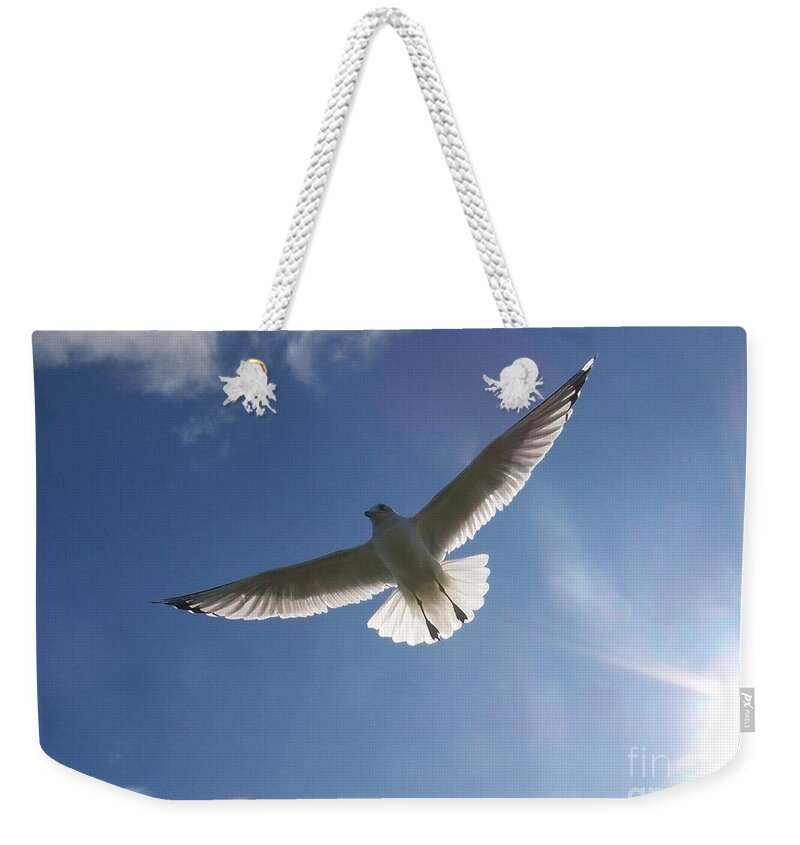 Seagull Weekender Tote Bag featuring the photograph Freedom Flight by Jackie Mueller-Jones