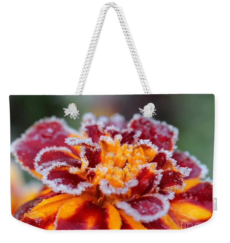 Mccombie Weekender Tote Bag featuring the photograph French Marigold named Durango Red Outlined with Frost by J McCombie