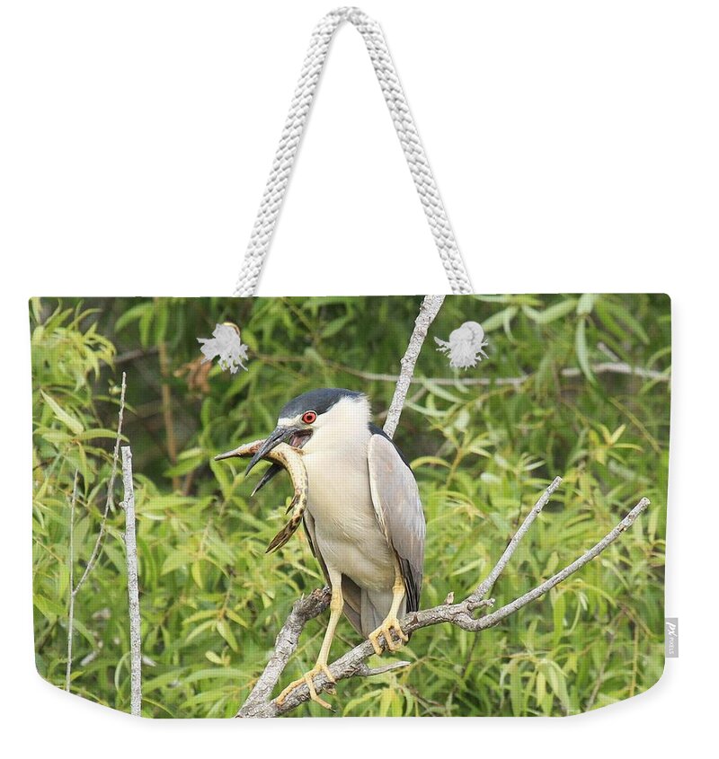 Black Crowned Night Heron Weekender Tote Bag featuring the photograph Fresh Fish Snack by Adam Jewell