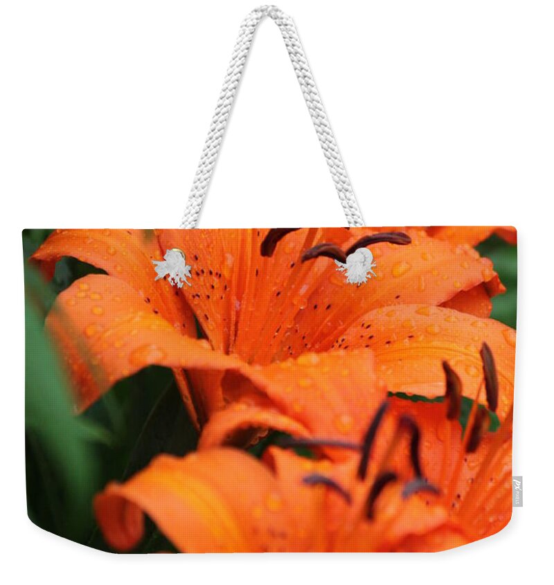 Orange Weekender Tote Bag featuring the photograph Freshly showered Tiger Lilys by Jennifer E Doll