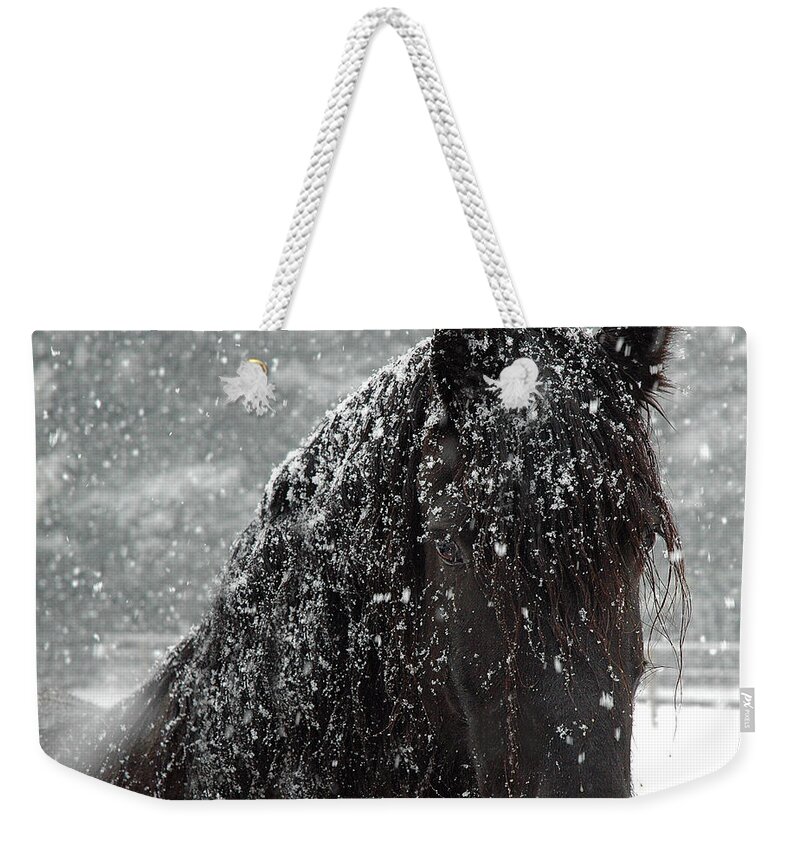 Horses Weekender Tote Bag featuring the photograph Friesian Snow by Fran J Scott