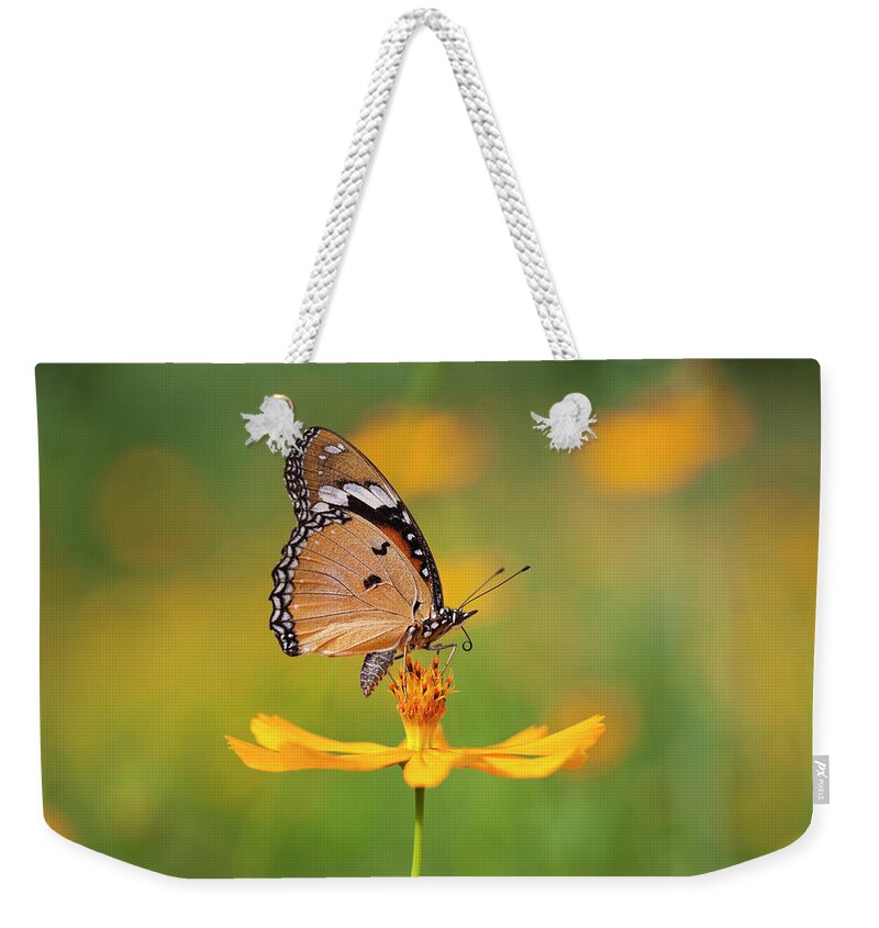 Flowerbed Weekender Tote Bag featuring the photograph Fritillary Butterfly On An Orange by Enviromantic