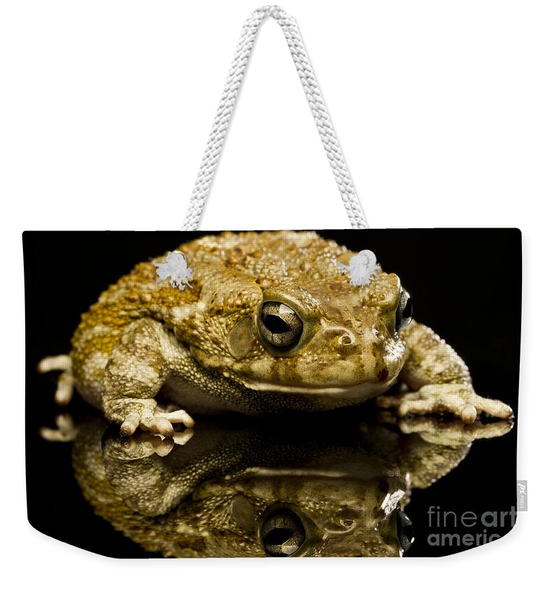 Frog Weekender Tote Bag featuring the photograph Frog by Gunnar Orn Arnason