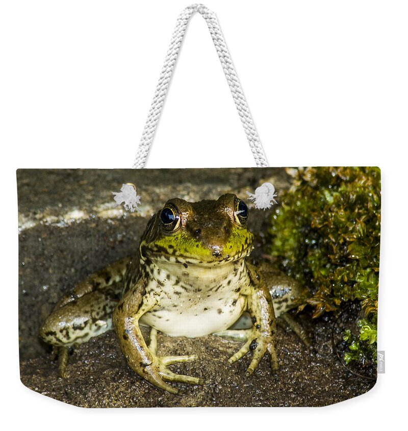 Frog Weekender Tote Bag featuring the photograph Frog Pose by Richard Kitchen