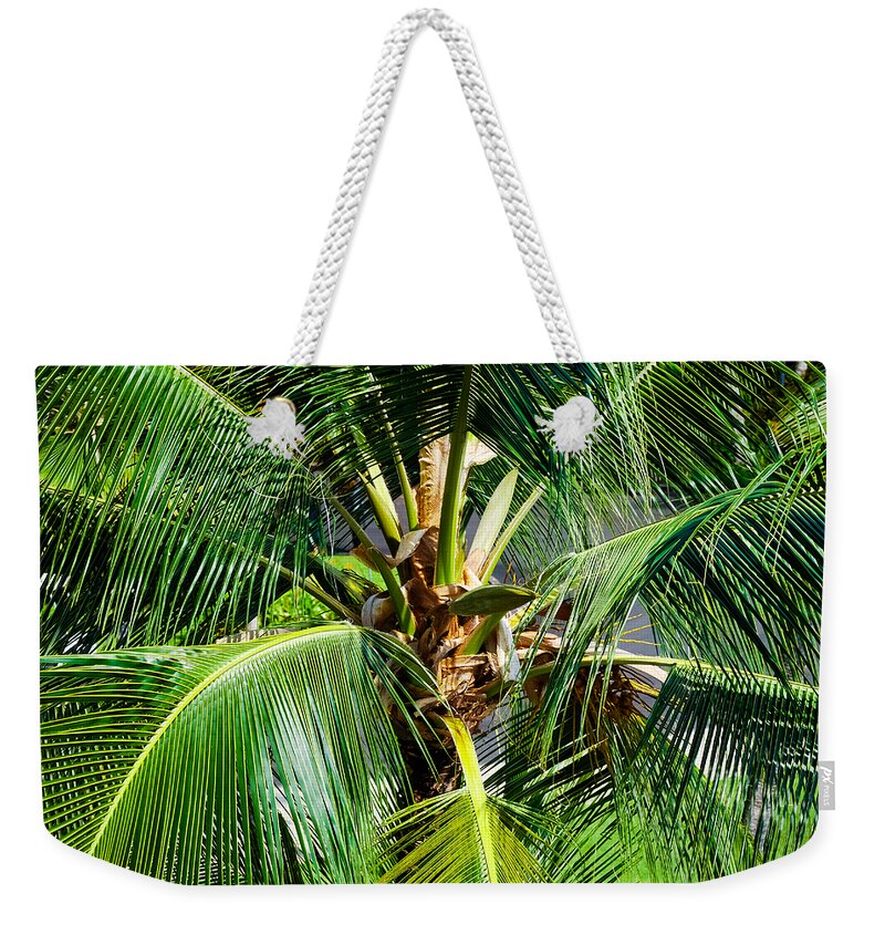 Botany Weekender Tote Bag featuring the photograph Fronds and Center by Christi Kraft