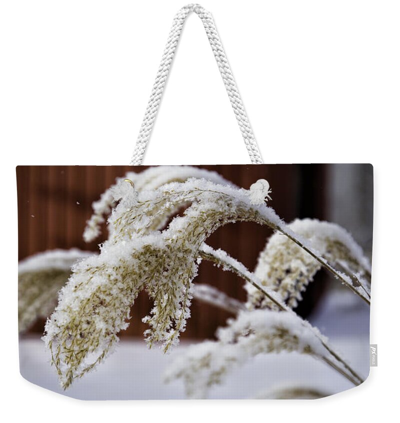 Snow Weekender Tote Bag featuring the photograph Frosty Grass by Timothy Hacker