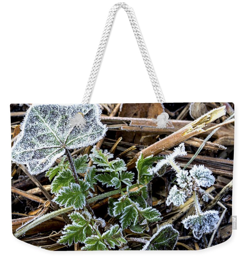 Frost Weekender Tote Bag featuring the photograph Frosty by Spikey Mouse Photography