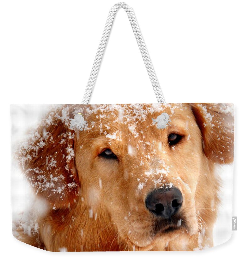 Golden Retriever Weekender Tote Bag featuring the photograph Frosty Mug by Christina Rollo