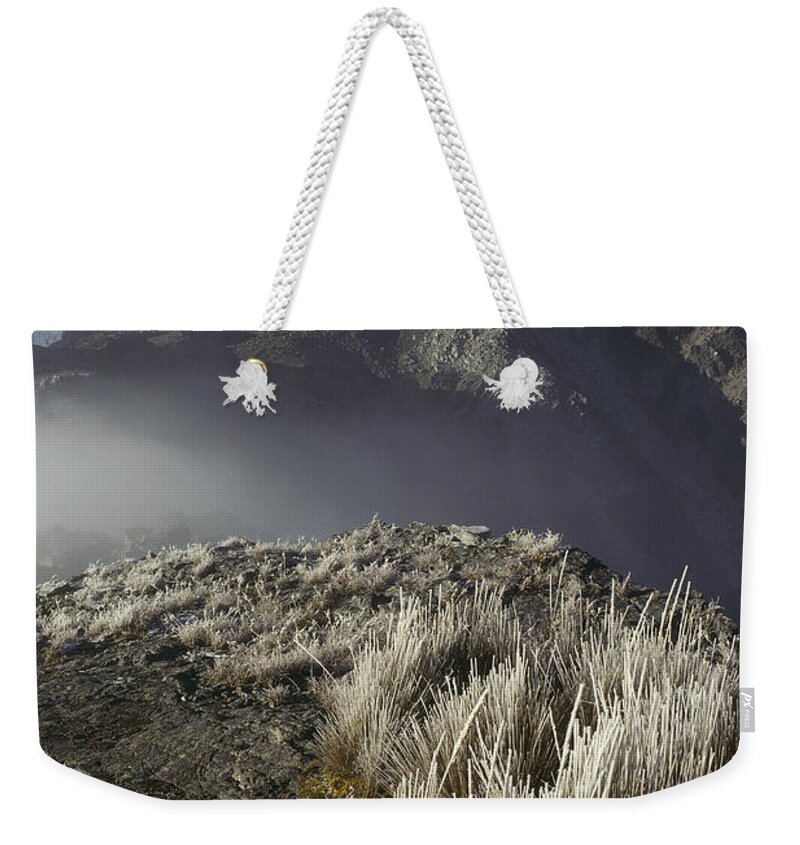 Feb0514 Weekender Tote Bag featuring the photograph Frozen Grasses And Nevado Chopicalqui by Grant Dixon