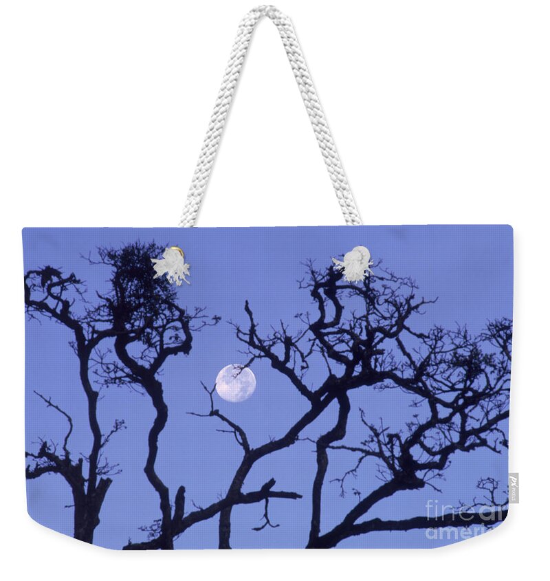 Science Weekender Tote Bag featuring the photograph Full Moon Over Kenya by Gregory G. Dimijian, M.D.