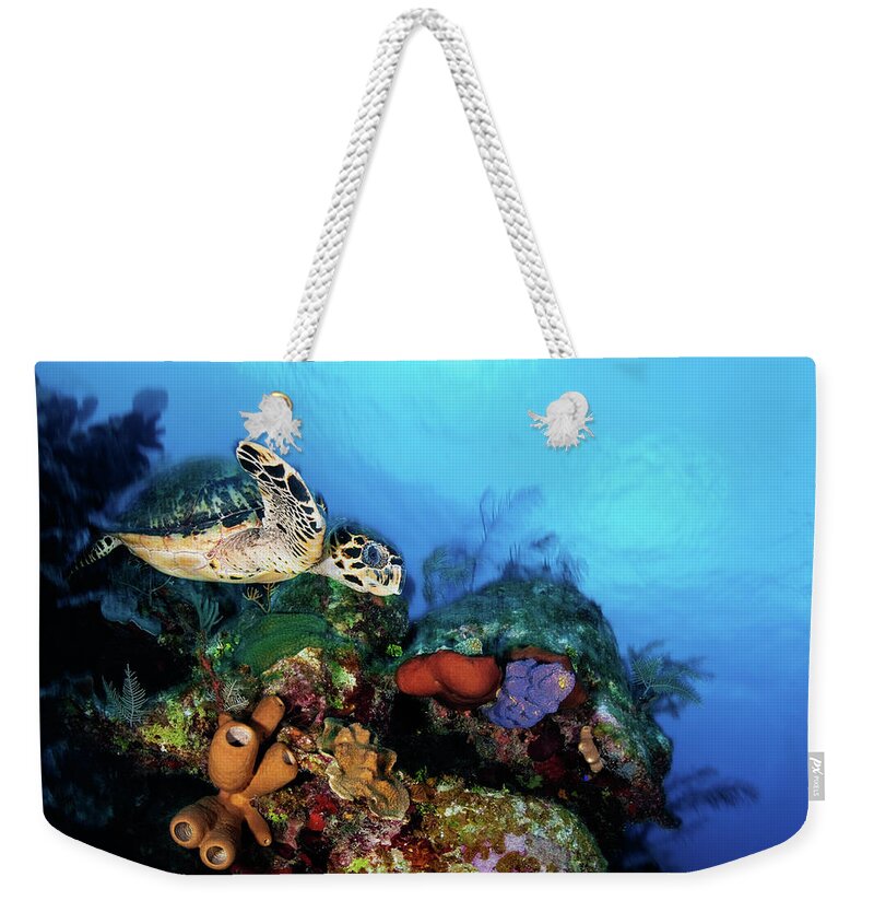 Underwater Weekender Tote Bag featuring the photograph Full Speed Ahead by Extreme-photographer