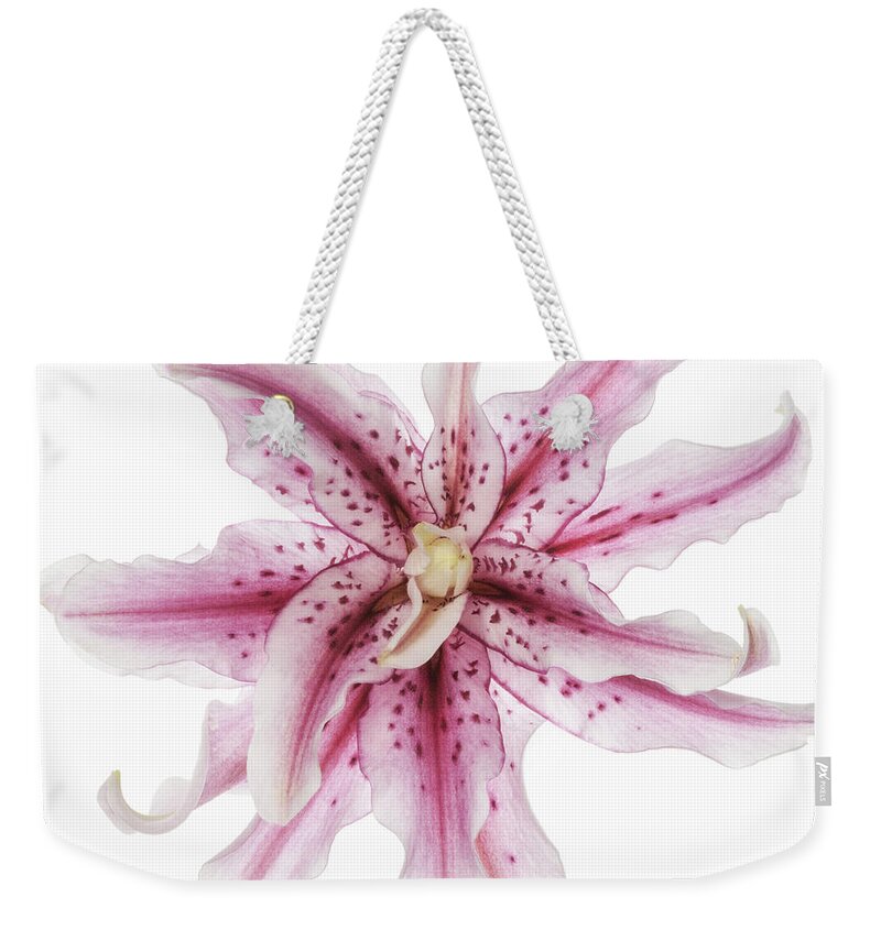 Funky Lily Weekender Tote Bag featuring the photograph Funky Lily by Patty Colabuono