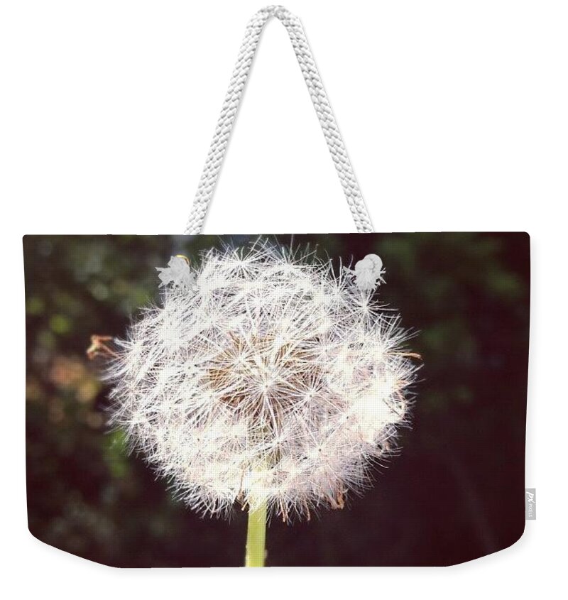 Dandelion Weekender Tote Bag featuring the photograph Fuzzy by Denise Railey