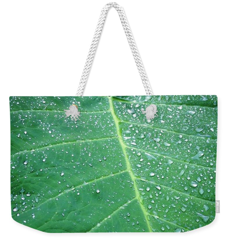 Leaf Weekender Tote Bag featuring the photograph Galaxy Rain by John Duplantis