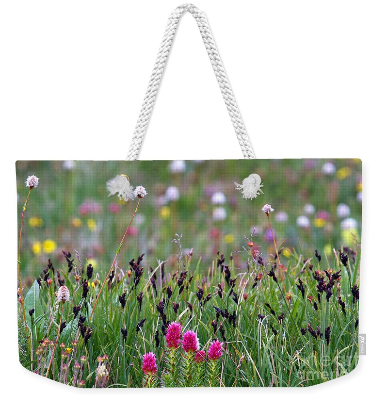 Alpine Flowers Weekender Tote Bag featuring the photograph Garden Above the Clouds by Jim Garrison