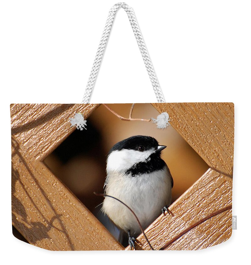 Bird Weekender Tote Bag featuring the photograph Garden Chickadee by Christina Rollo