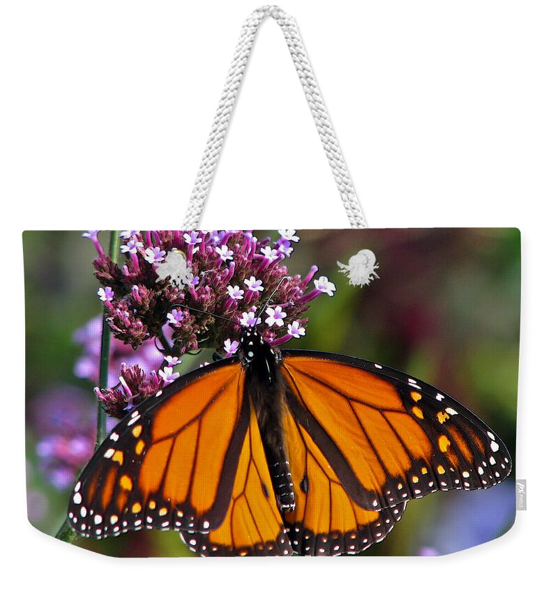 Monarch Weekender Tote Bag featuring the photograph Garden Monarch by John Haldane