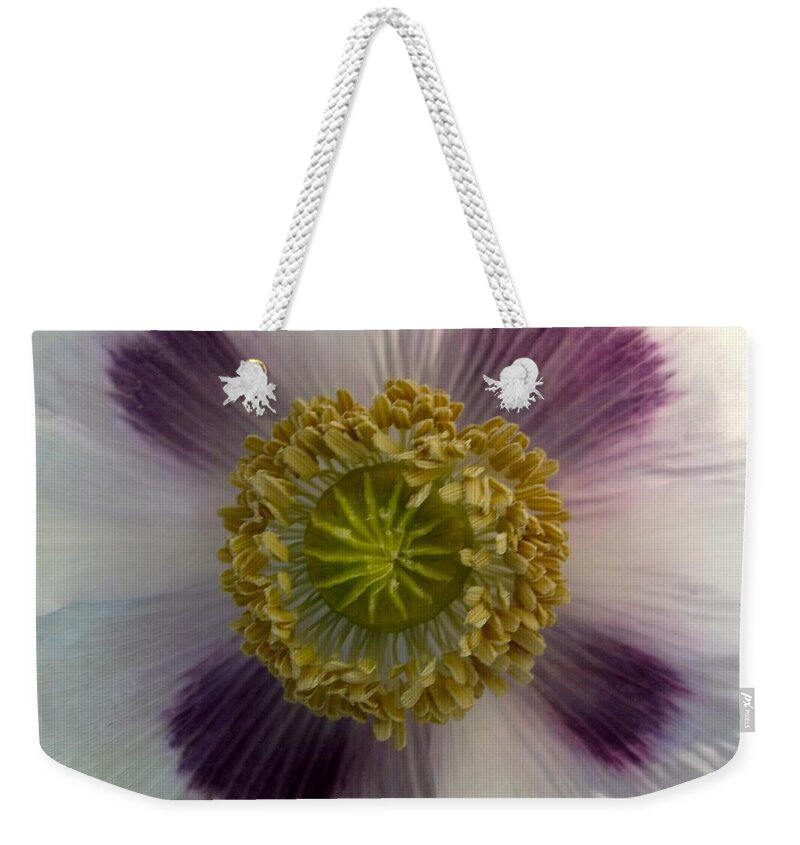 Poppy Weekender Tote Bag featuring the photograph Garden Poppy by Cara Frafjord