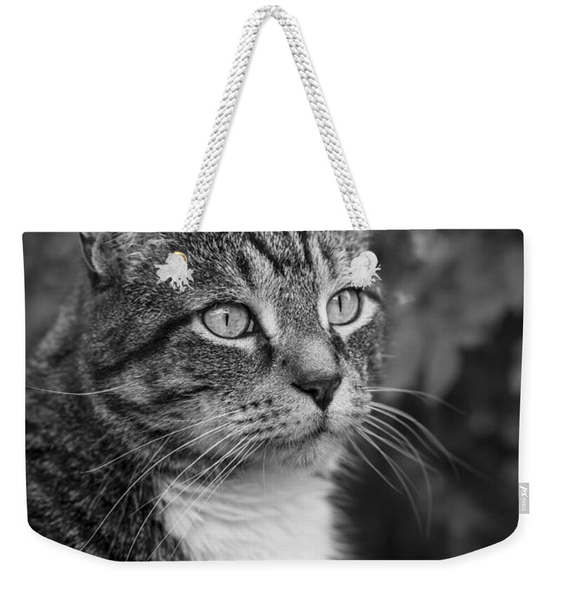 Andrew Pacheco Weekender Tote Bag featuring the photograph Garden Sentry by Andrew Pacheco
