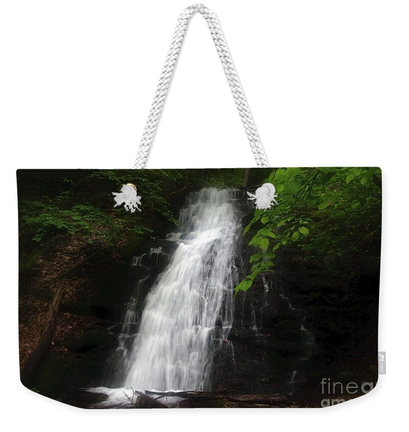 Waterfall Weekender Tote Bag featuring the photograph Garvey Spring Falls by Debra Fedchin