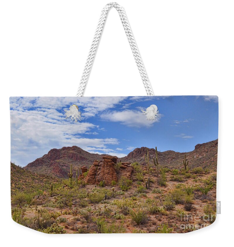 Gates Weekender Tote Bag featuring the photograph Gates Pass Scenic View by Donna Greene