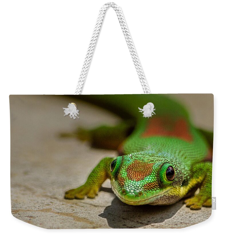 Gecko Weekender Tote Bag featuring the photograph Gecko Portrait by Linda Villers