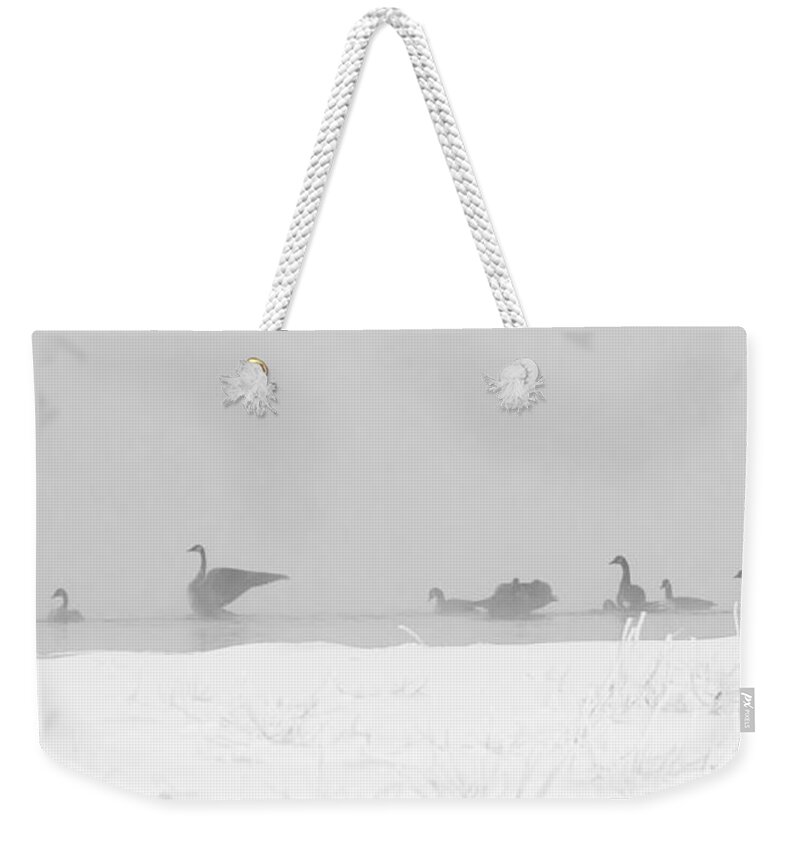 Geese Weekender Tote Bag featuring the photograph Geese by Steven Ralser