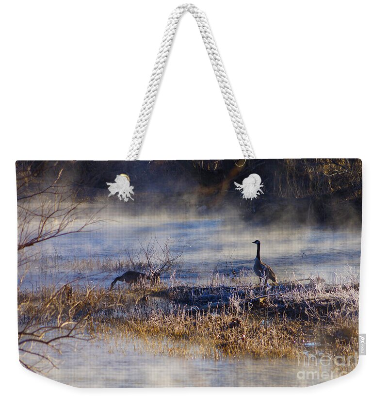Canadian Geese Weekender Tote Bag featuring the photograph Geese Taking a Break by Jennifer White