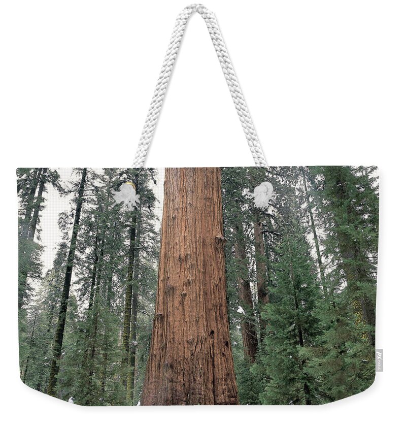 Flora Weekender Tote Bag featuring the photograph General Sherman Tree by Jim Corwin