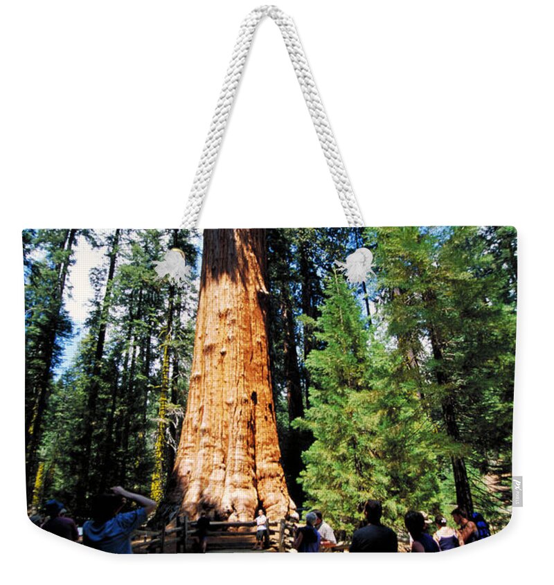 Vertical Weekender Tote Bag featuring the photograph General Sherman Tree by Mark Newman