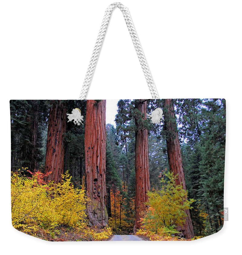 Sentinels Weekender Tote Bag featuring the photograph General's Highway by Lynn Bauer