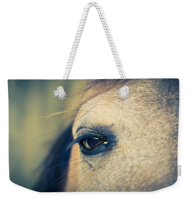 Horse Weekender Tote Bag featuring the photograph Gentle Eye by Priya Ghose