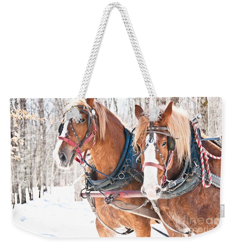 Maple Syrup Weekender Tote Bag featuring the photograph Gentle Giants by Cheryl Baxter