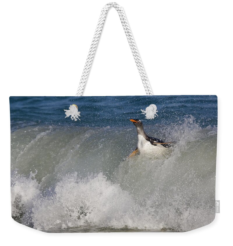 Flpa Weekender Tote Bag featuring the photograph Gentoo Penguin In Breaking Wave New by Dickie Duckett