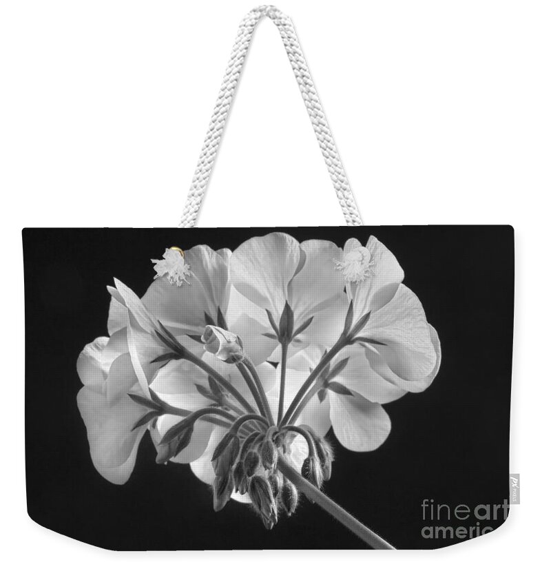 Geranium Weekender Tote Bag featuring the photograph Geranium Flower In Progress Black and White by James BO Insogna
