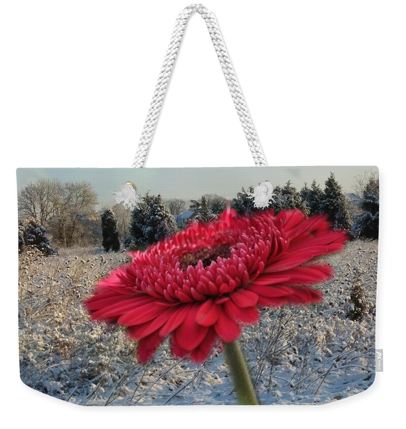 Snow Weekender Tote Bag featuring the photograph Gerbera Daisy In The Snow by Trish Tritz