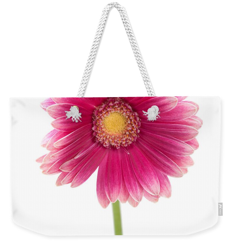 Centered Weekender Tote Bag featuring the photograph Gerbera by Sebastian Musial