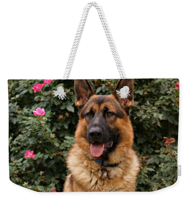 Dog Weekender Tote Bag featuring the photograph German Shepherd Dog by Sandy Keeton
