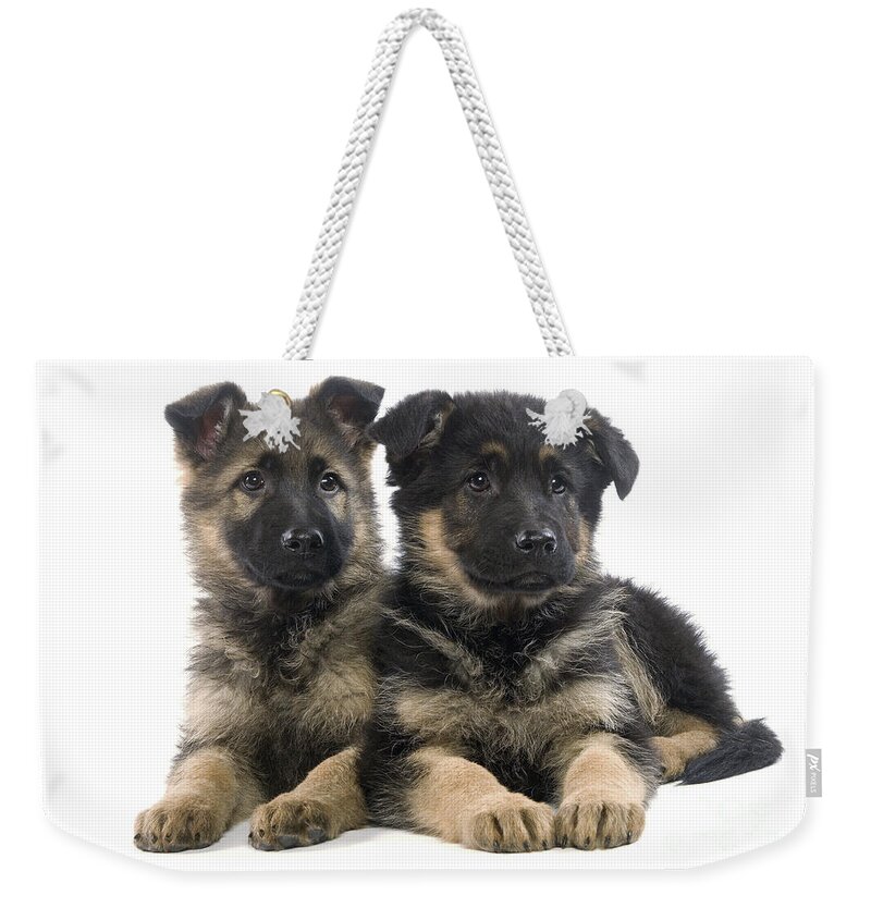 Dog Weekender Tote Bag featuring the photograph German Shepherd Puppies by Jean-Michel Labat