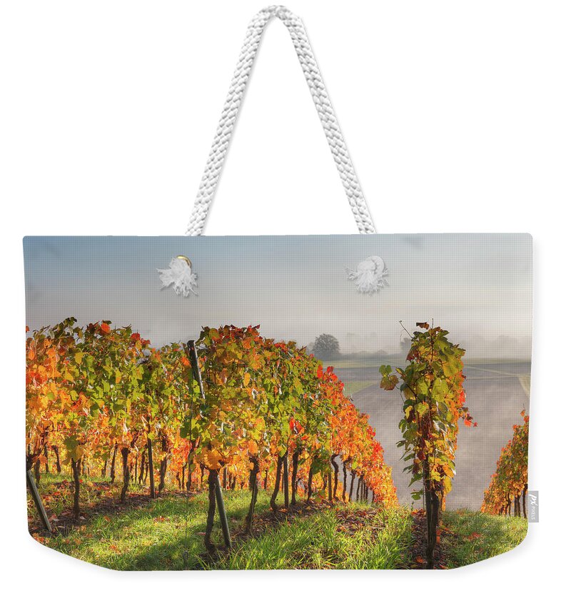Tranquility Weekender Tote Bag featuring the photograph Germany, Bavaria, Theilheimer Mainleite by Westend61