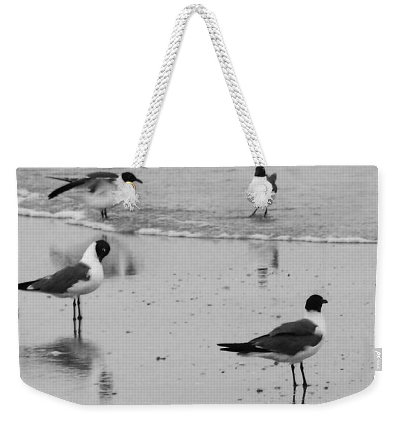 Seagull Weekender Tote Bag featuring the photograph Gettin' Our Feet Wet by Melinda Ledsome