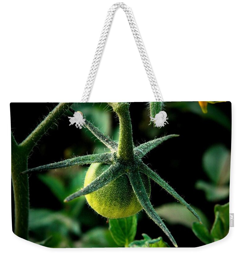 Tomato Weekender Tote Bag featuring the photograph Getting Started by Chris Berry