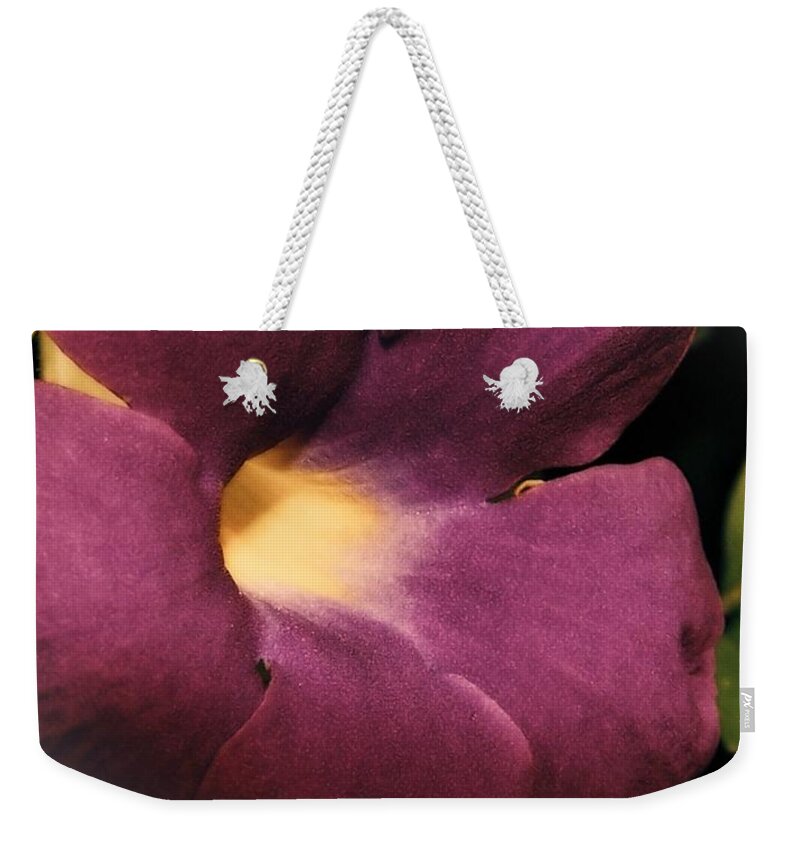 Flower Weekender Tote Bag featuring the photograph Ghana Violet by Jamie Johnson