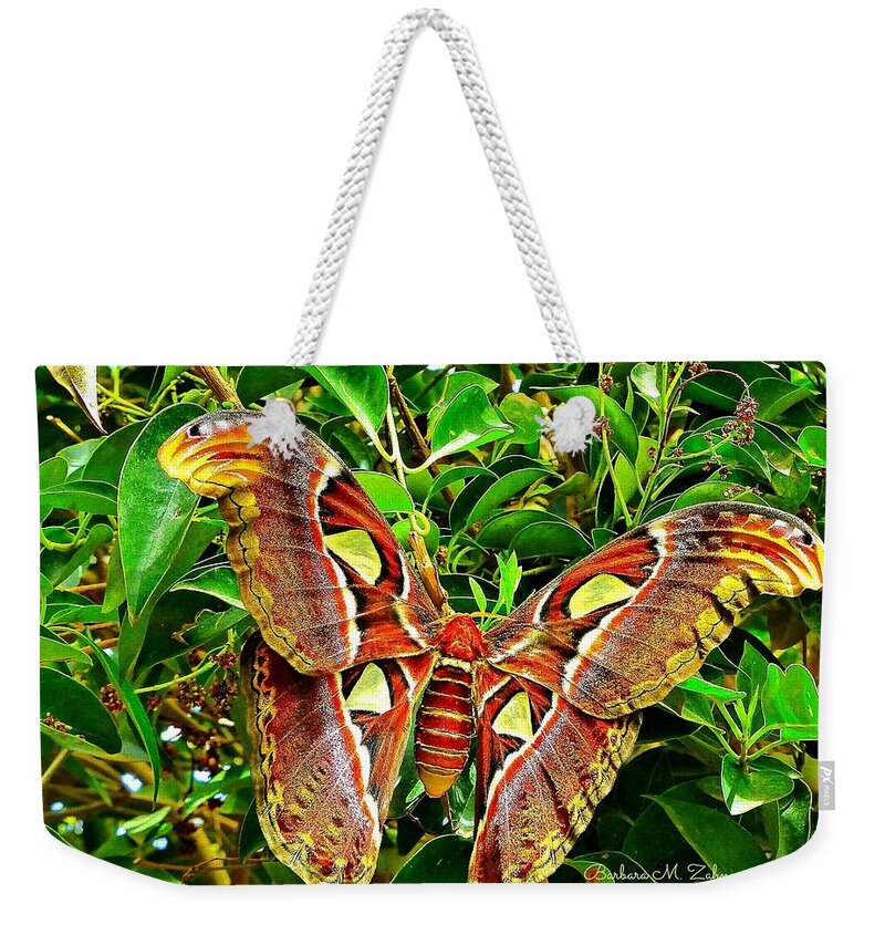Butterflies Weekender Tote Bag featuring the photograph Giant Moth by Barbara Zahno