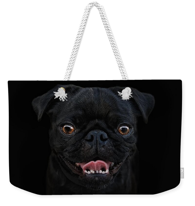 Animals Weekender Tote Bag featuring the photograph Gimme A Smile by Joachim G Pinkawa